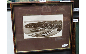 Lot 251
