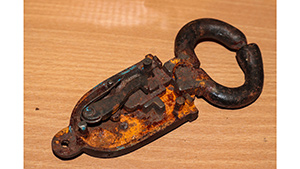 Lot 234