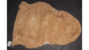 Lot 296