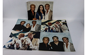 Lot 378