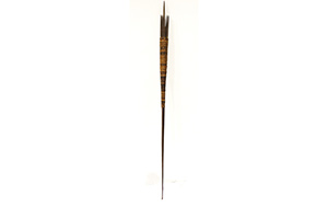 Lot 25