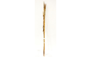 Lot 27