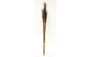 Lot 28