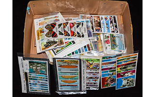 Lot 460
