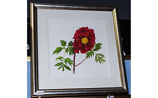 Lot 235