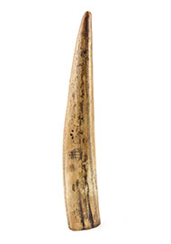 Lot 194