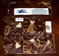Lot 543