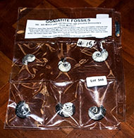 Lot 549