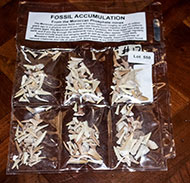 Lot 550