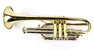 Lot 7