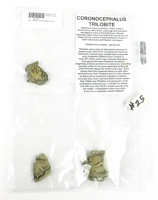 Lot 363