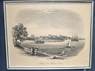 Lot 195