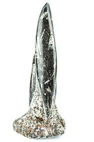 Lot 218