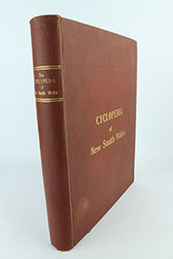 Lot 269