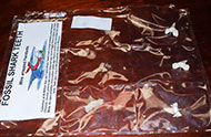 Lot 385