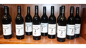Lot 36