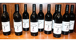 Lot 39