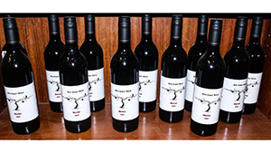 Lot 40