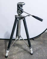 Lot 536
