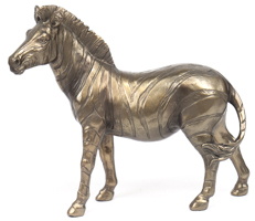 Lot 255