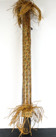 Lot 137
