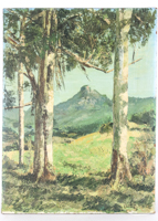 Lot 336