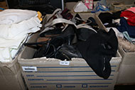 Lot 237