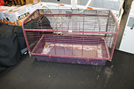 Lot 497