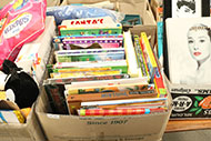 Lot 231