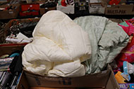 Lot 233