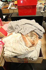 Lot 246