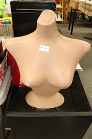 Lot 251