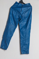 Lot 310