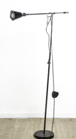 Lot 342