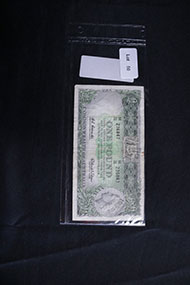 Lot 50