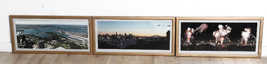 Lot 206