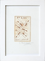 Lot 28