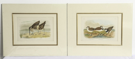 Lot 287