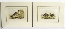 Lot 288