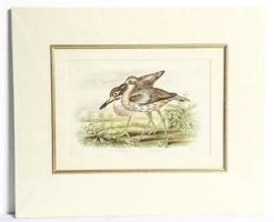 Lot 239
