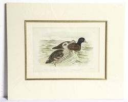 Lot 240