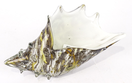 Lot 296