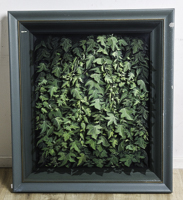 Lot 21