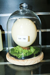 Lot 158