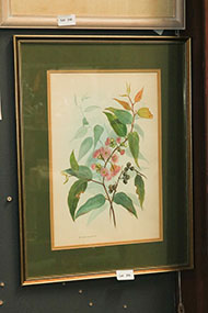 Lot 216