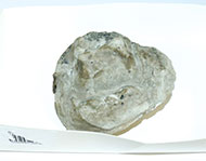Lot 252