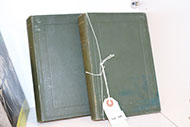 Lot 528