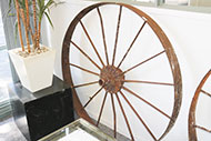 Lot 560