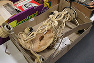 Lot 719