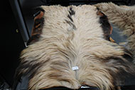 Lot 744